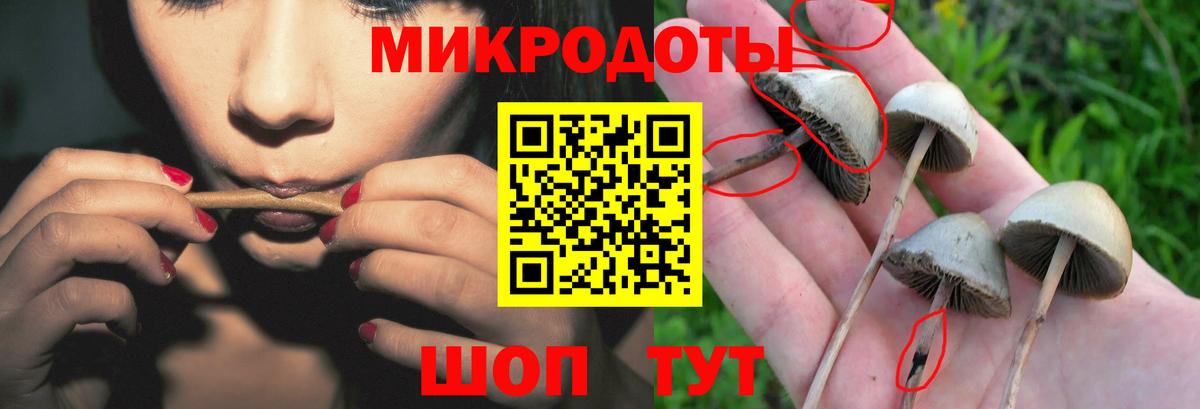 Галлюциногенные грибы Magic Shrooms  Вход с VPN  где купить   Псилоцибиновые грибы Cubensis  Ржев 